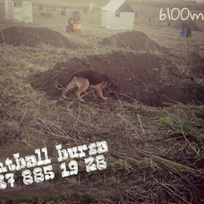 Paintball Bursa